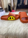 Orange Smiley Slides