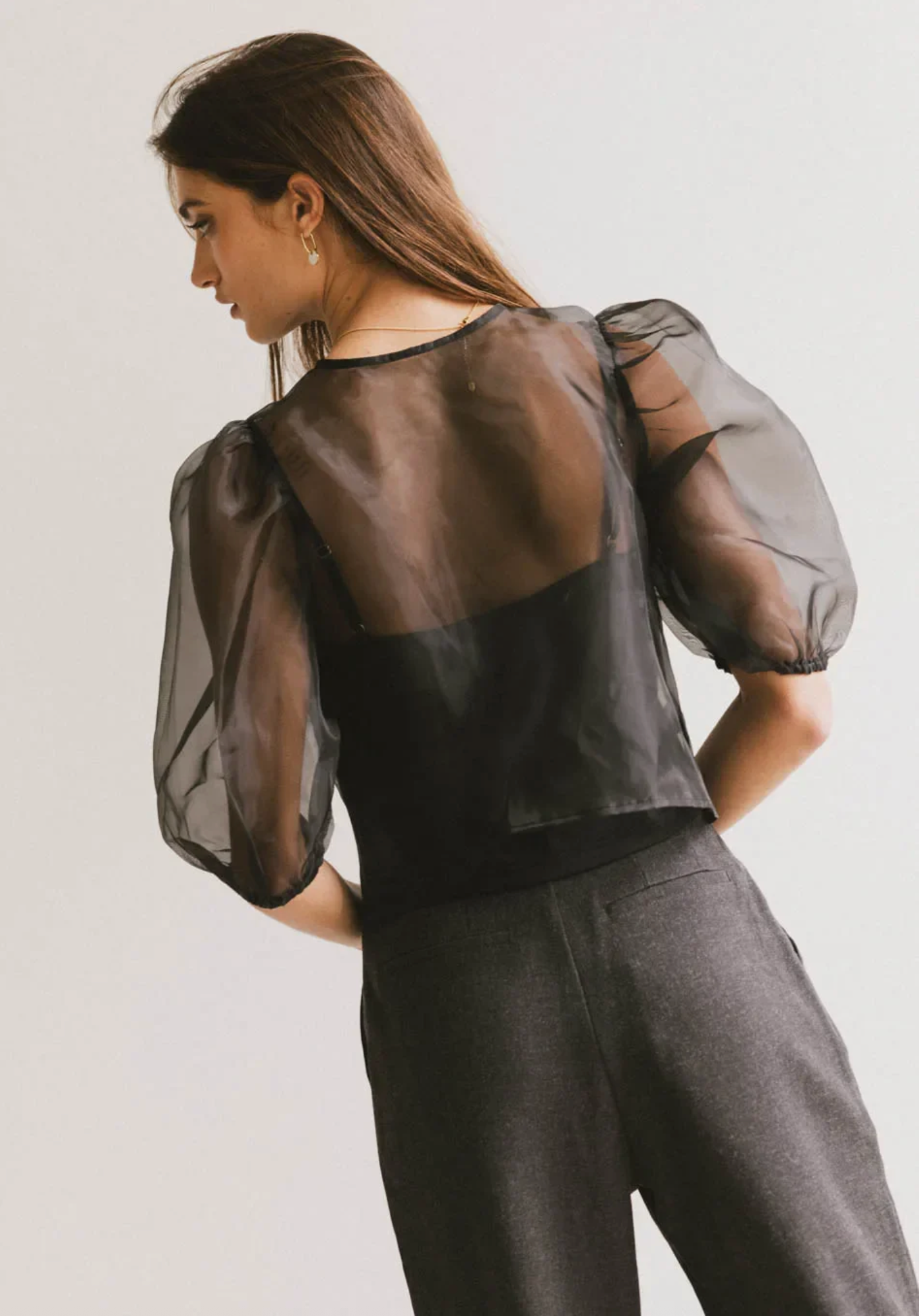 Black Sheer Puff Sleeve