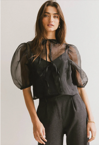 Black Sheer Puff Sleeve