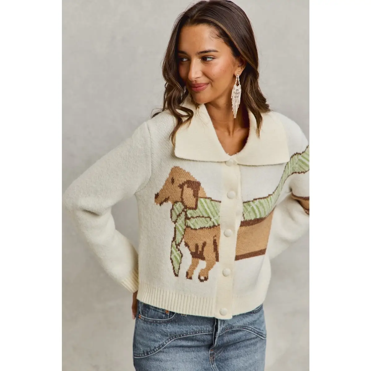 Dachshund with scarf cardigan