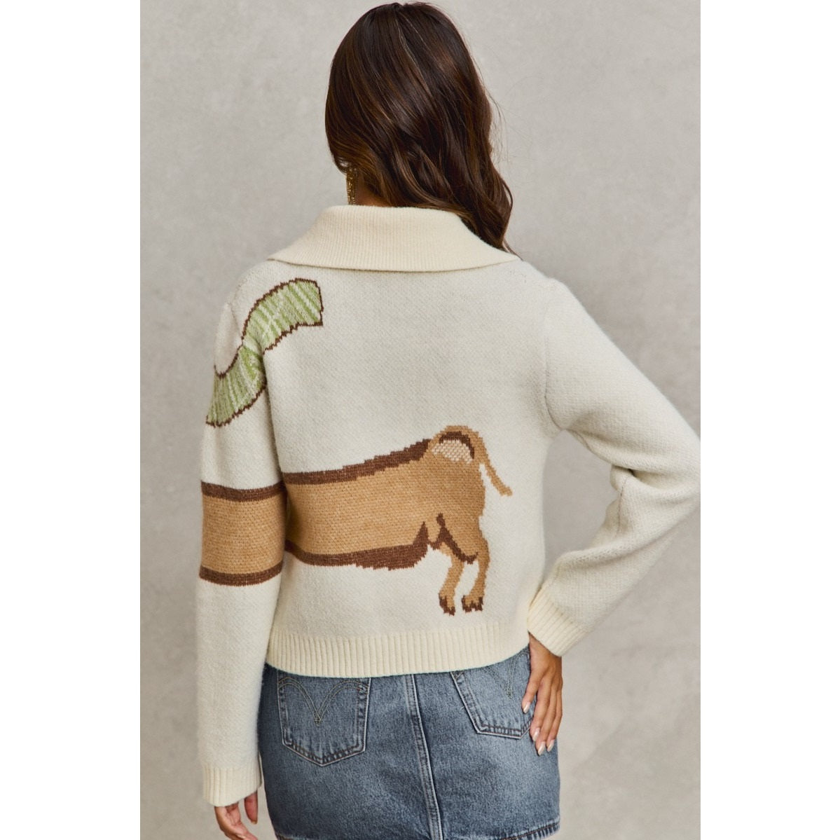 Dachshund with scarf cardigan