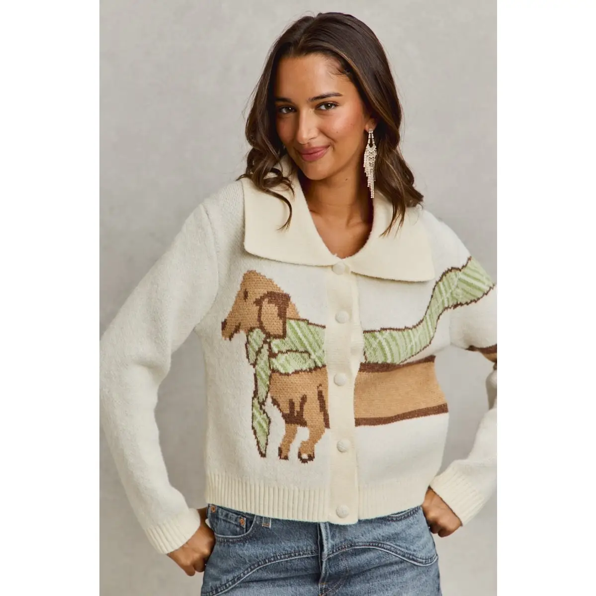 Dachshund with scarf cardigan