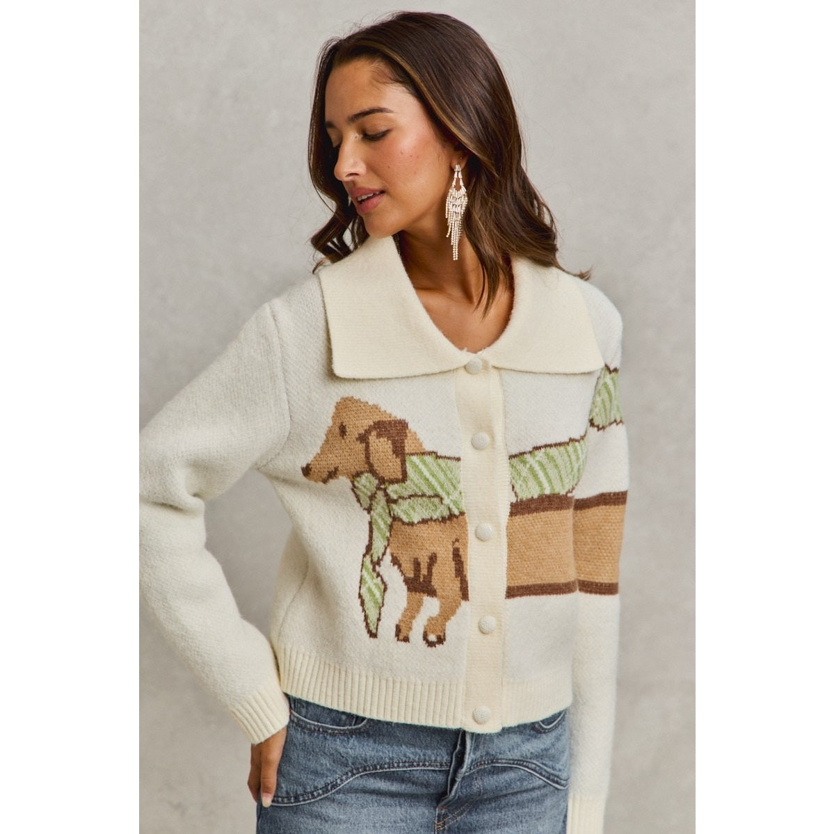 Dachshund with scarf cardigan