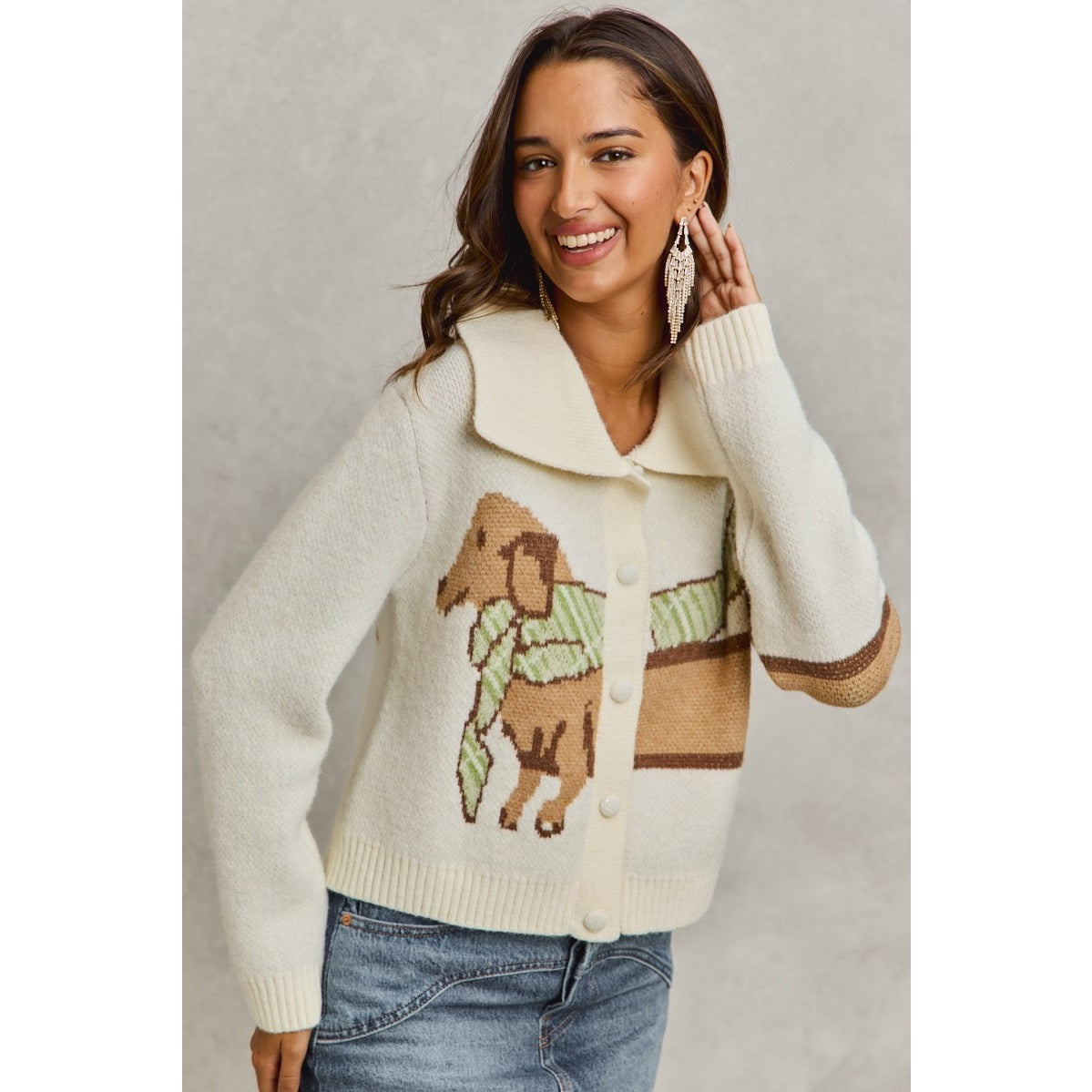 Dachshund with scarf cardigan