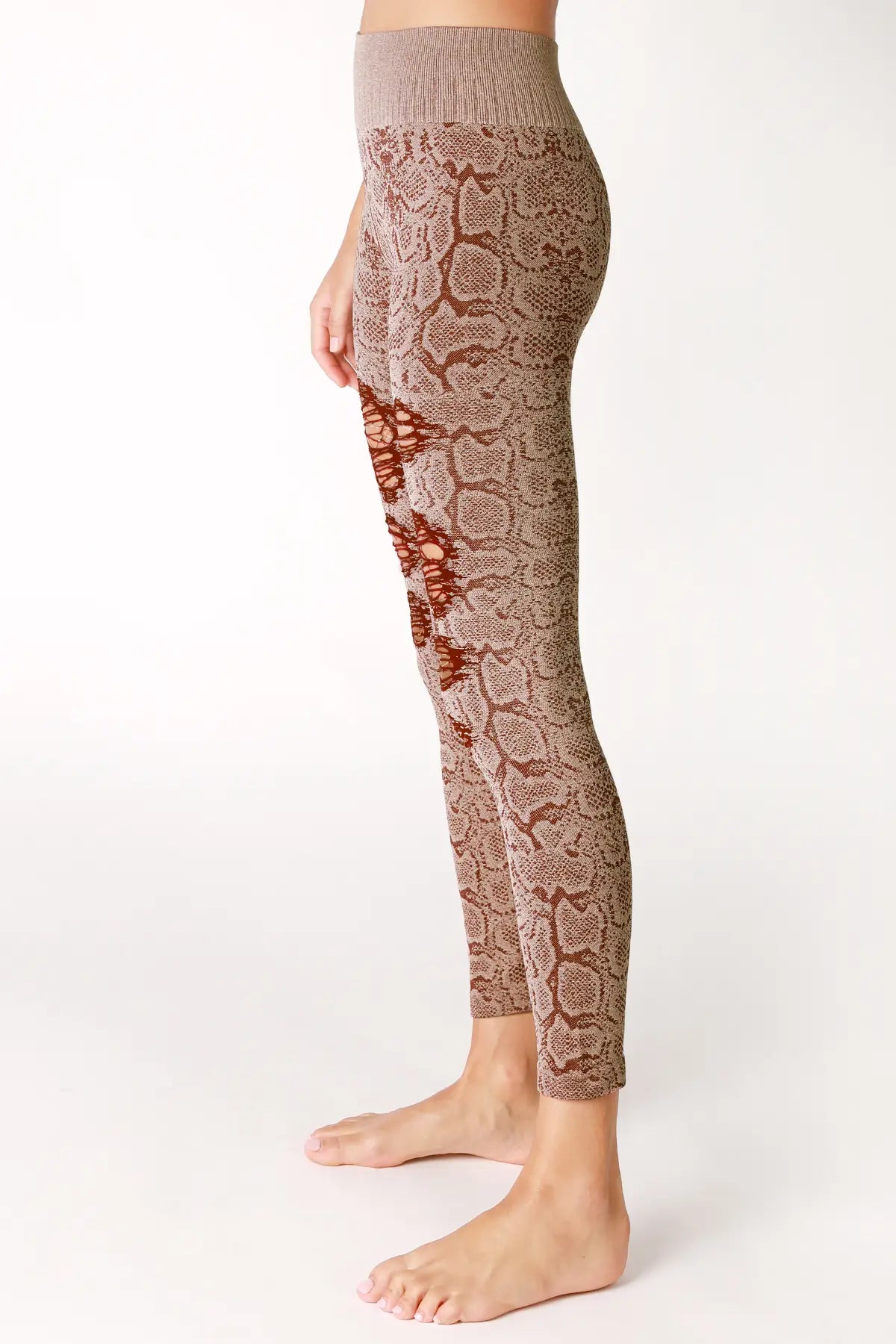 Burgundy Distressed Snakeskin Leggings