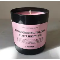 Candier It's Beginning to Look a Lot like F this candle